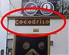 cocodrilo3.jpg‎