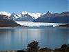 Calafate01LRAP.jpg‎